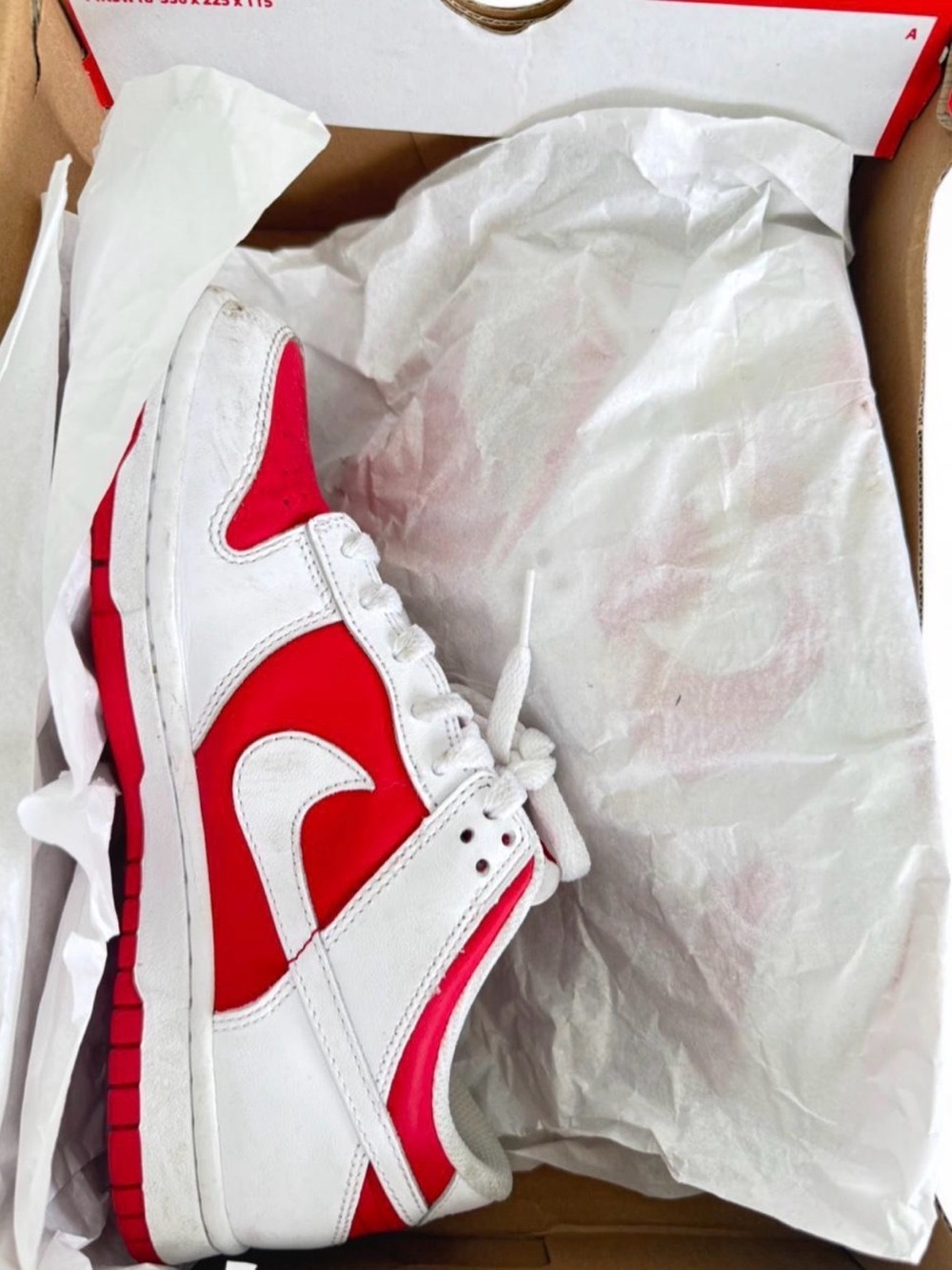 Nike Dunk Sneakers